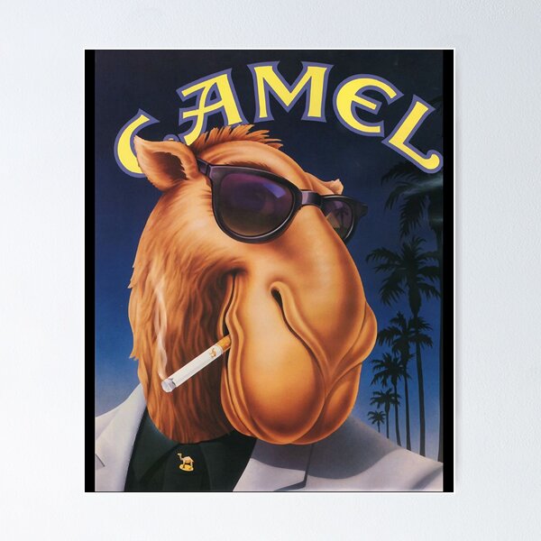 Camel Logo - Branition