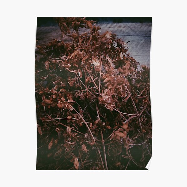 Dry Flowers In The Attic Poster