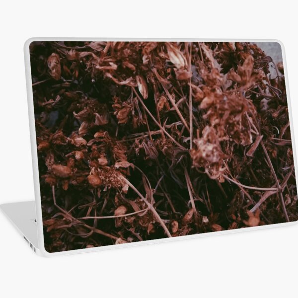 Dry Flowers In The Attic Laptop Skin