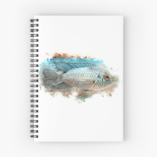 Item preview, Blue spotted cichlid "Skyline" - Andinoacara pulcher designed and sold by AquariumLutter.