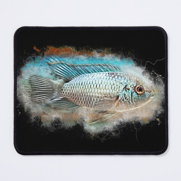Aperçu de l'œuvre Cichlidé tacheté bleu "Skyline" - Andinoacara pulcher créée et vendue par AquariumLutter.