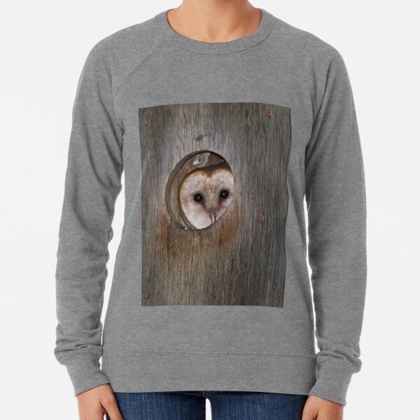 Mama Barn Owl Lightweight Sweatshirt