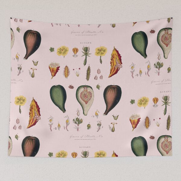 Artikelvorschau, Blumen- und Obstillustration des 18. Jahrhunderts entworfen und verkauft von Naturalist Prints.