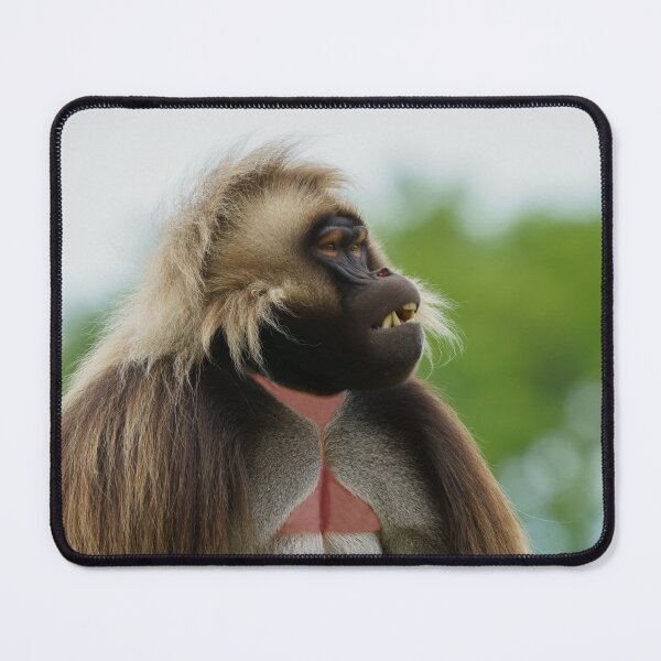 Item preview, Bleeding Heart Baboon designed and sold by rawshutterbug.