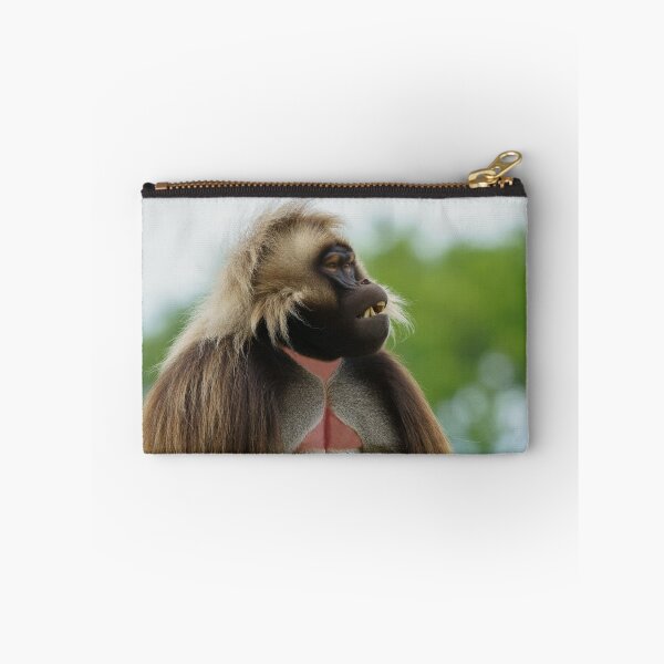 Item preview, Bleeding Heart Baboon designed and sold by rawshutterbug.
