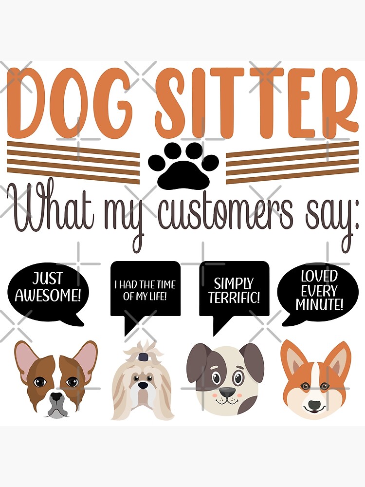 Southampton Animals At Home Pet Care Services Dog Official Walking