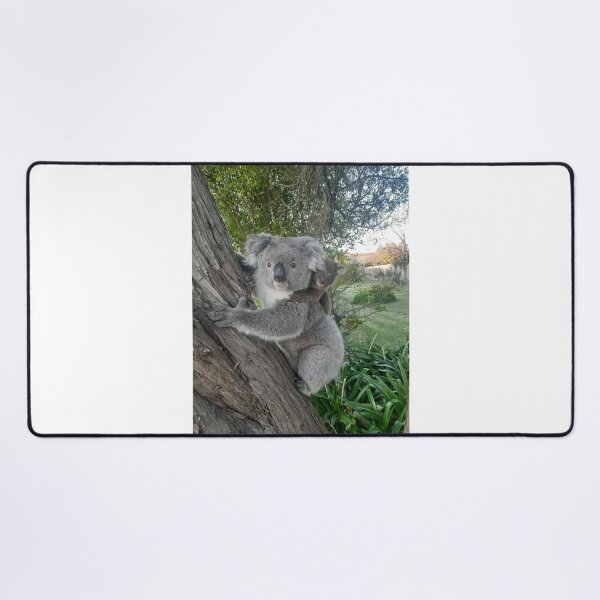 Item preview, Koala and baby joey designed and sold by Mr-S1GN.