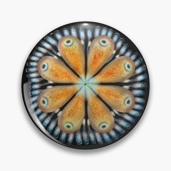 Item preview, Botryllus schlosseri art designed and sold by Osher-BioArt.