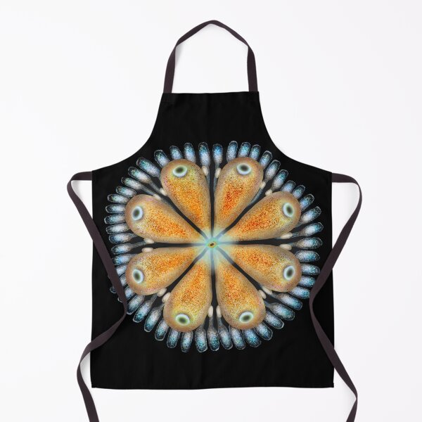 Item preview, Botryllus schlosseri art designed and sold by Osher-BioArt.