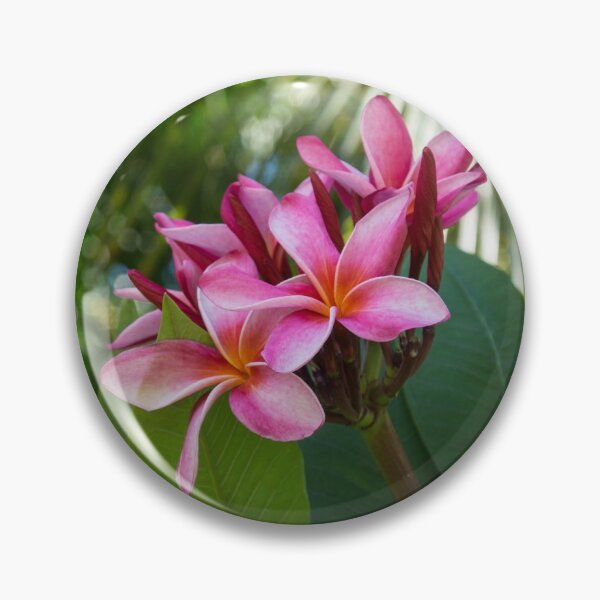 Item preview, Tropical Paradise - Fragrant, Hot Pink Plumeria in a Lush Garden designed and sold by Georgia Mizuleva.