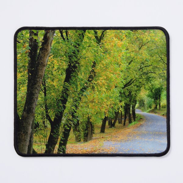 Item preview, River Road in Autumn designed and sold by chstudios.
