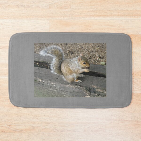 Item preview, Hungry Eastern Grey Squirrel Eating nut Photograph designed and sold by naturegallery.