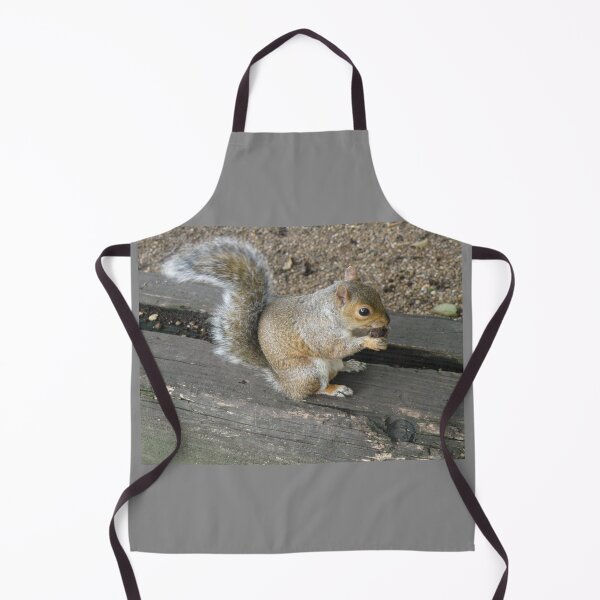 Item preview, Hungry Eastern Grey Squirrel Eating nut Photograph designed and sold by naturegallery.