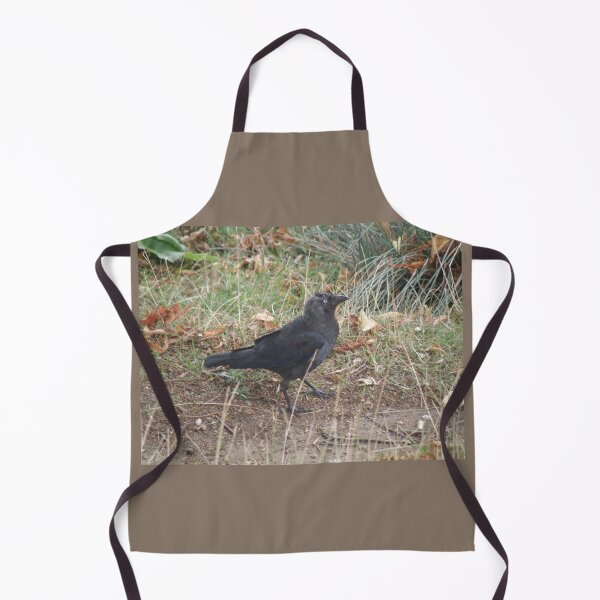 Item preview, Funny Walking Jackdaw Photograph designed and sold by naturegallery.