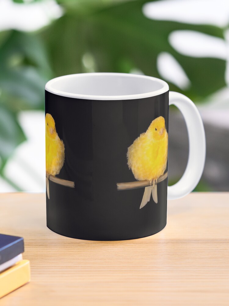 cute canary with yellow feathers Photographic Print by Denis