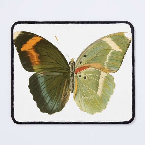Item preview, Papillons Vintage Butterfly T-Shirt / Retro Butterfly designed and sold by Ahmedhod.