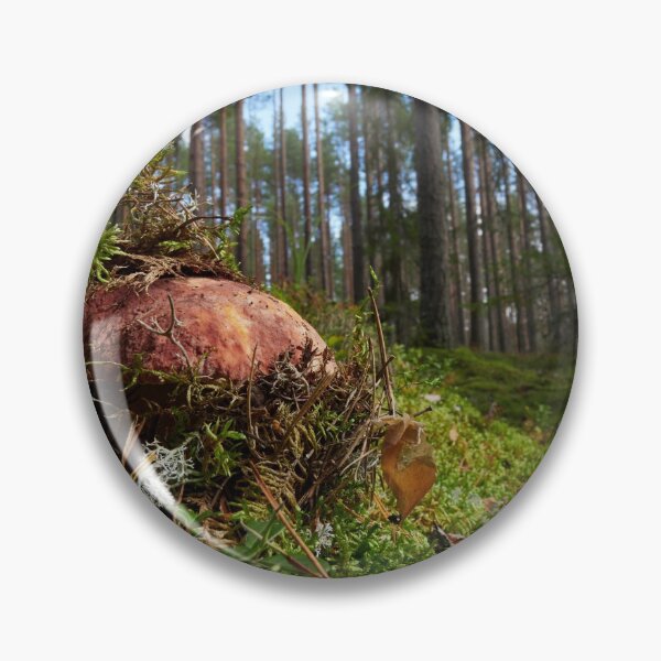Item preview, Pushing up from the ground. Pine bolete designed and sold by Jouko Lehto Photography.