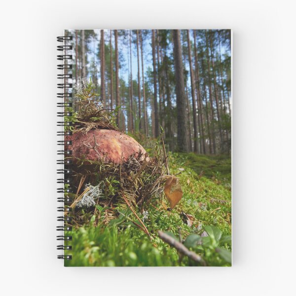 Item preview, Pushing up from the ground. Pine bolete designed and sold by Jouko Lehto Photography.
