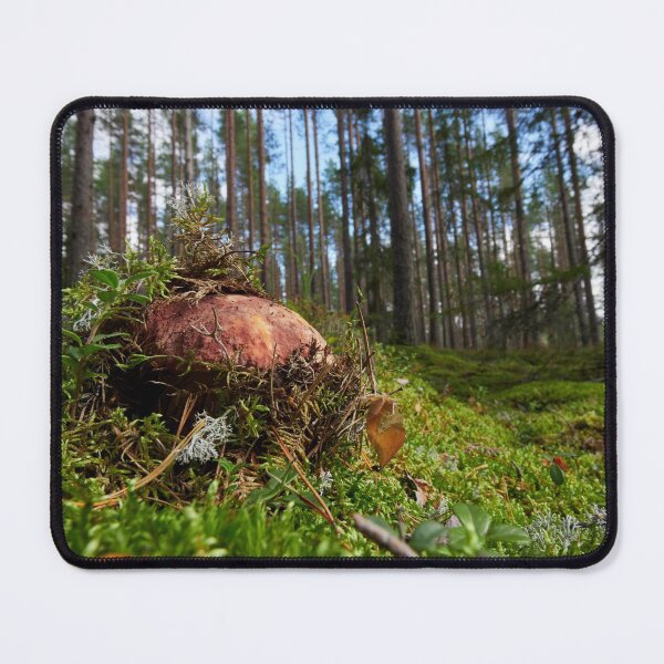 Item preview, Pushing up from the ground. Pine bolete designed and sold by Jouko Lehto Photography.