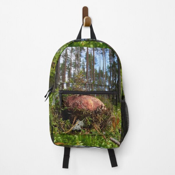 Item preview, Pushing up from the ground. Pine bolete designed and sold by Jouko Lehto Photography.