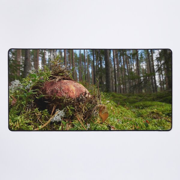 Item preview, Pushing up from the ground. Pine bolete designed and sold by Jouko Lehto Photography.