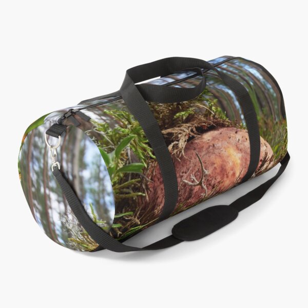 Item preview, Pushing up from the ground. Pine bolete designed and sold by Jouko Lehto Photography.