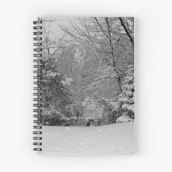 Item preview, Snow storm of December 2009 designed and sold by chstudios.