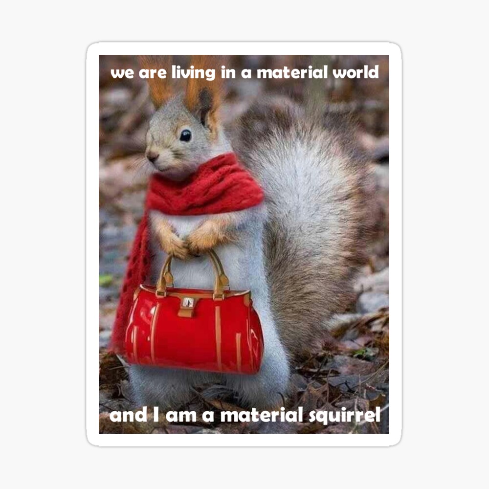 Funny Material Squirrel Shopping with Handbag Meme Gift Poster for Sale by  capybaraclothes  Redbubble