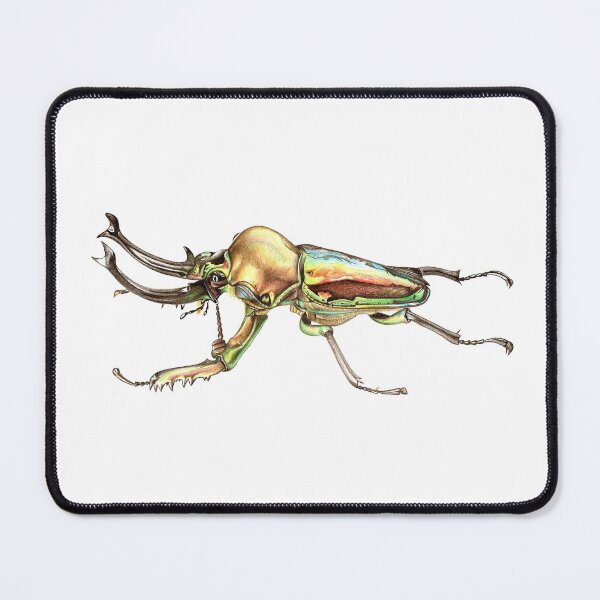 Item preview, Phalacrognathus muelleri designed and sold by Kalli-Horn.