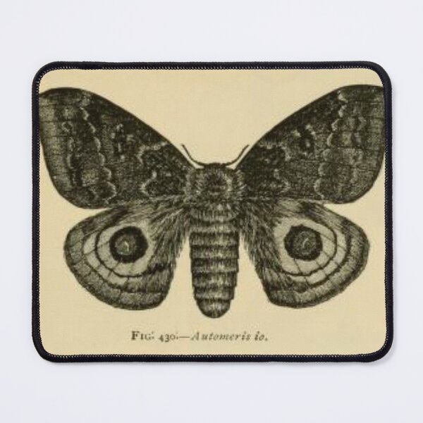 Item preview, Io Moth designed and sold by BlueSpecsStudio.