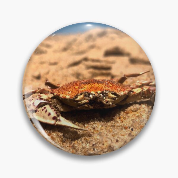 Item preview, The crab life.  designed and sold by Shelby Designs!.