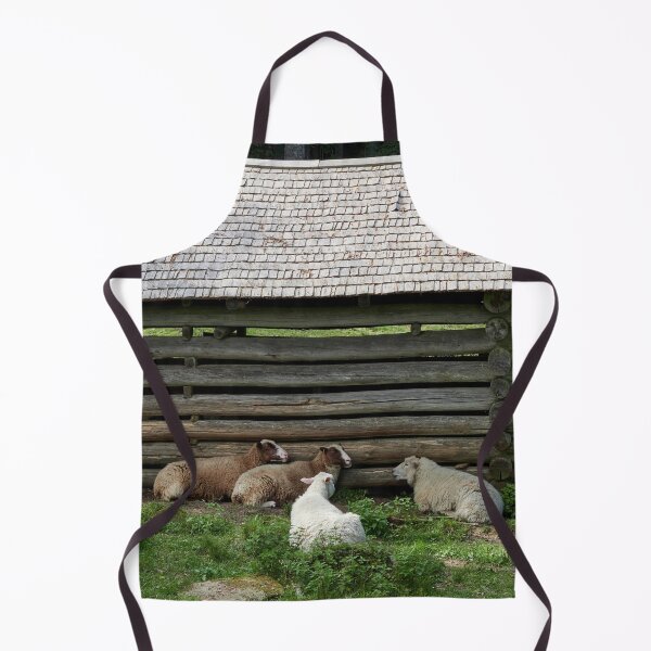 Item preview, Gossip time. Kovero farm designed and sold by Jouko Lehto Photography.