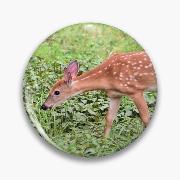Item preview, Fawn in field designed and sold by Leon Heyns.