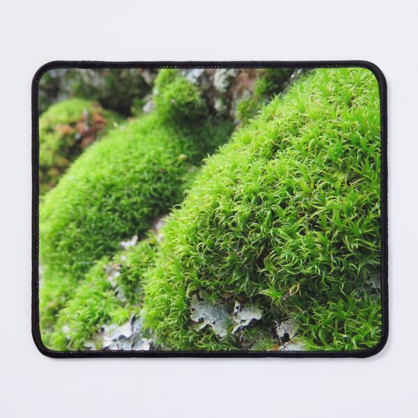 Item preview, moss designed and sold by Connys Colorful World.