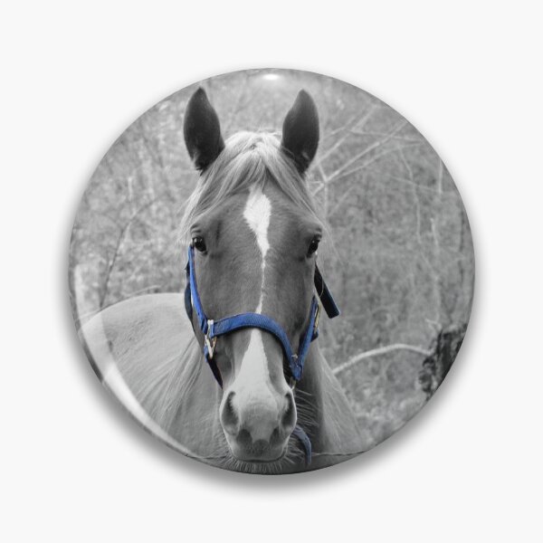Item preview, Ready to Ride (Blue Harness) designed and sold by chstudios.
