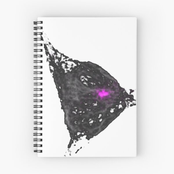 Item preview, Real human cell, big print in grey designed and sold by CellSci.