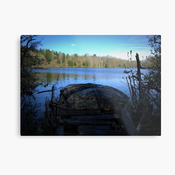 Path of The Lake Metal Print