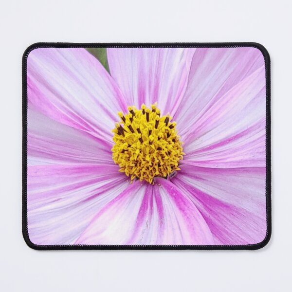 Item preview, Winter Cosmos Flower in Pink 14 designed and sold by ellenhenry.