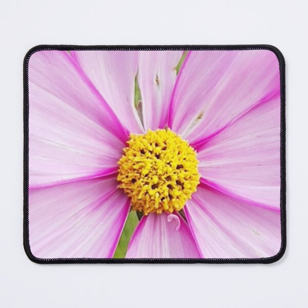 Item preview, Winter Cosmos Flower in Pink 2 designed and sold by ellenhenry.