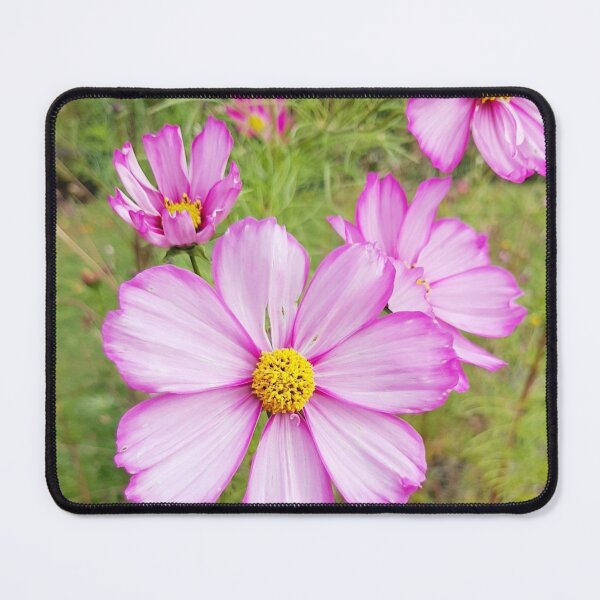 Item preview, Winter Cosmos Flower in Pink 1 designed and sold by ellenhenry.
