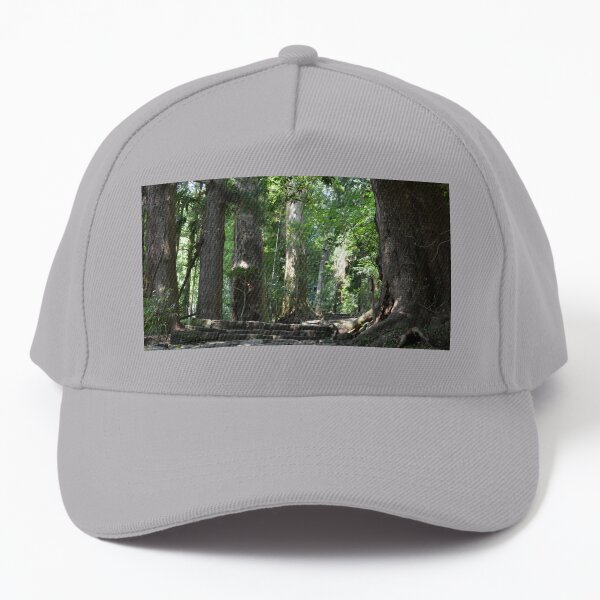 Chemin de l'initiation Casquette de baseball