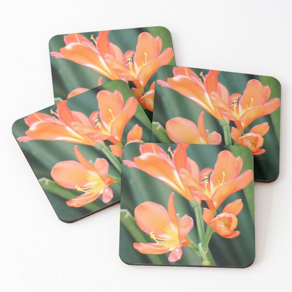 Item preview, Flowery Closeup designed and sold by Finnzilla.