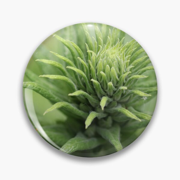Item preview, Digitalis Ready to Star designed and sold by cuprum.