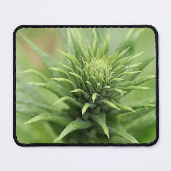 Item preview, Digitalis Ready to Star designed and sold by cuprum.