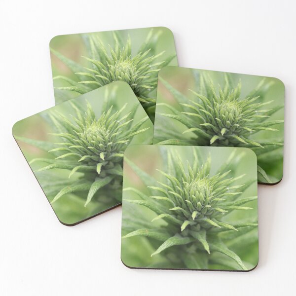Item preview, Digitalis Ready to Star designed and sold by cuprum.