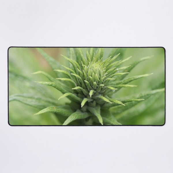 Item preview, Digitalis Ready to Star designed and sold by cuprum.
