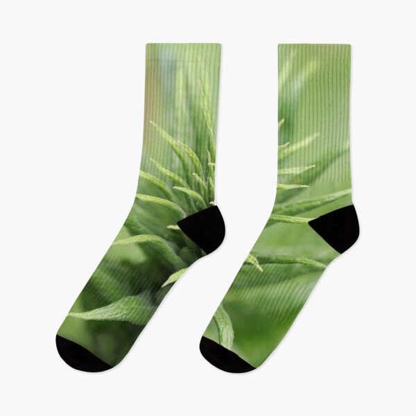 Item preview, Digitalis Ready to Star designed and sold by cuprum.