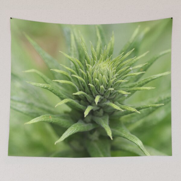 Item preview, Digitalis Ready to Star designed and sold by cuprum.