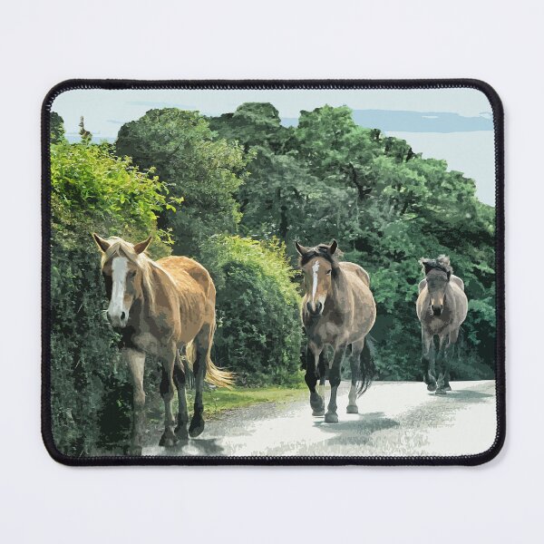 Item preview, New Forest Ponies, National Park Hampshire England uk. designed and sold by BarbaraGlebska.