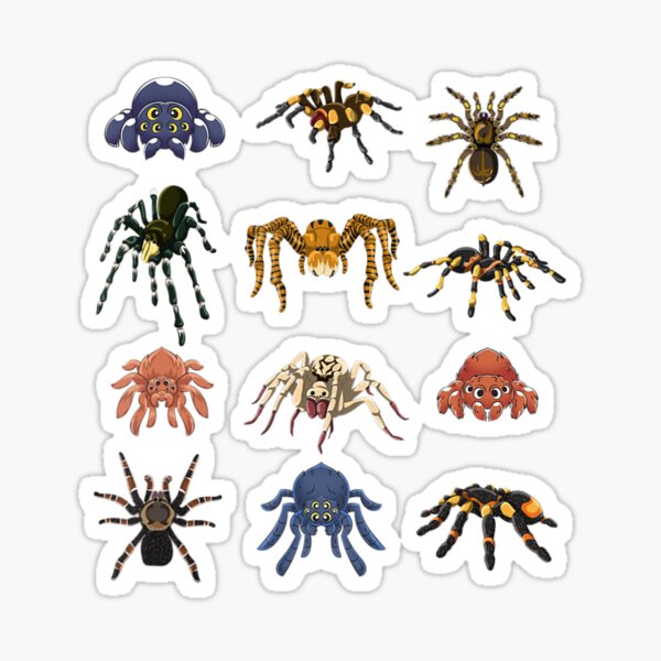Item preview, Animal Arachnid Tarantula Arthropod Halloween Gift Spider designed and sold by BethLegros.